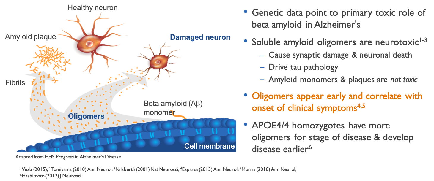 Our Platform Amyloid Plaques Alzheon Preserving Future Memories