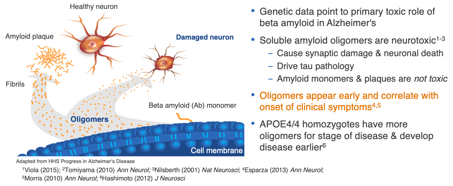 Our Platform Amyloid Plaques Alzheon Preserving Future Memories