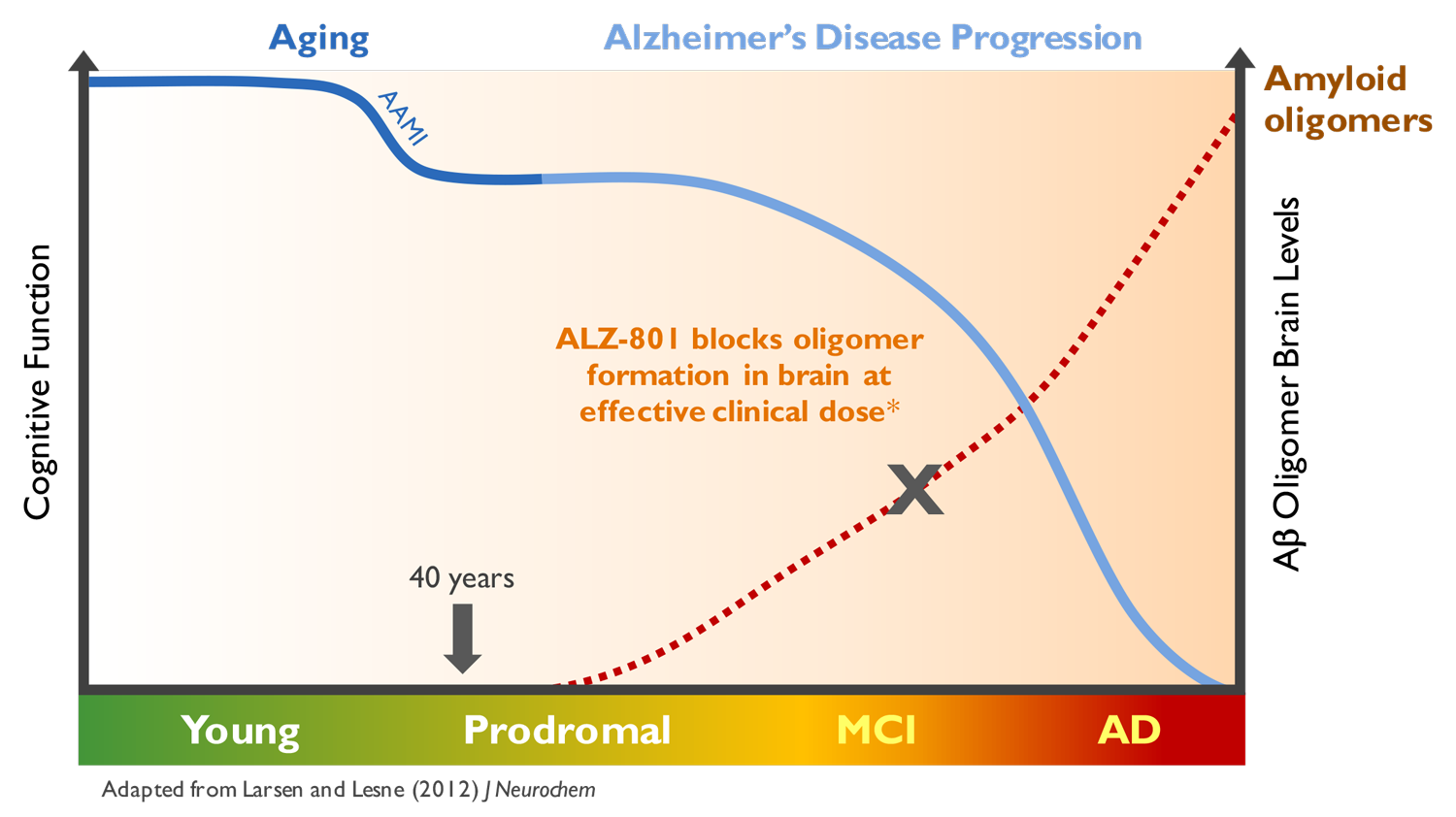 ALZ-801-Blocking-toxic-oligomers-in-Alzheimers-Alzheon_amyloid-plaques