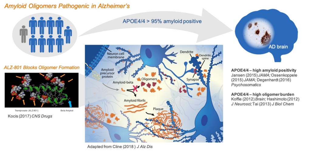 Alzheon | Preserving Future Memories