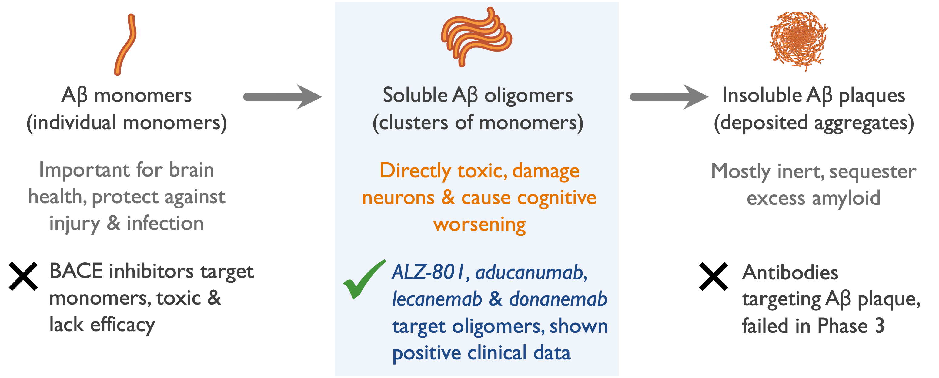 Amyloid Oligomers to Slow Alzheimers